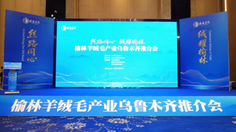 “绒”耀丝路 榆林羊绒第九届亚欧博览会揽获多项合作成果