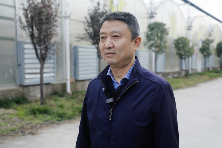 秸秆综合利用 西安施了个“蘑”法！