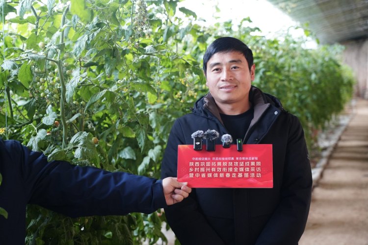 新春走基层 | 佳县朱官寨镇：让产业之花在黄土高原绽放