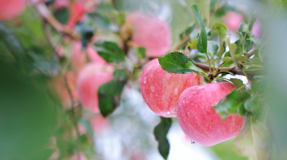 World Within Words —— Decoding "source code" of Chinese characters_fororder_微信图片_20251113170717