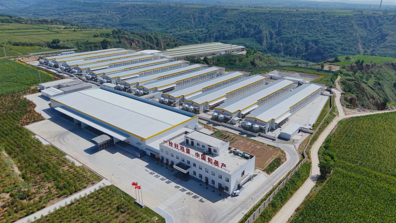 电力赋能：国网咸阳供电公司全力 护航“超蛋公园”_fororder_图片1