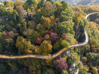 사오화의 가을빛에 취하다_fororder_25f1f399-3d85-46ec-b17c-7b21a3062d6b.800x475