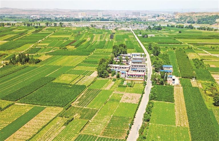 塞上沃野绘新卷 农业强市启新程——榆林以农业现代化谱写乡村振兴新篇章_fororder_微信图片_20260126083057_2813_127