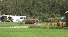 借青山绿水 绘田园盛景