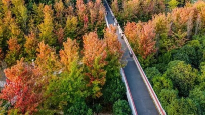 Yannan Park: A Poetic Haven at Your Doorstep_fororder_微信图片_20260319141917_1453_356