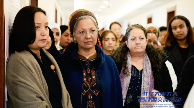 摩洛哥驻华大使夫人：妇女是国家发展的重要伙伴 陕西妇女故事令我备受鼓舞_fororder_图片901