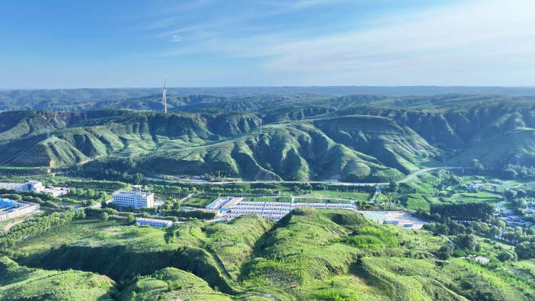 榆林府谷：让古树在保护中“老有所依”_fororder_图片2