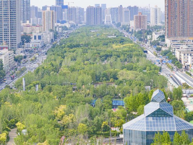 绿韵流淌 风景宜人