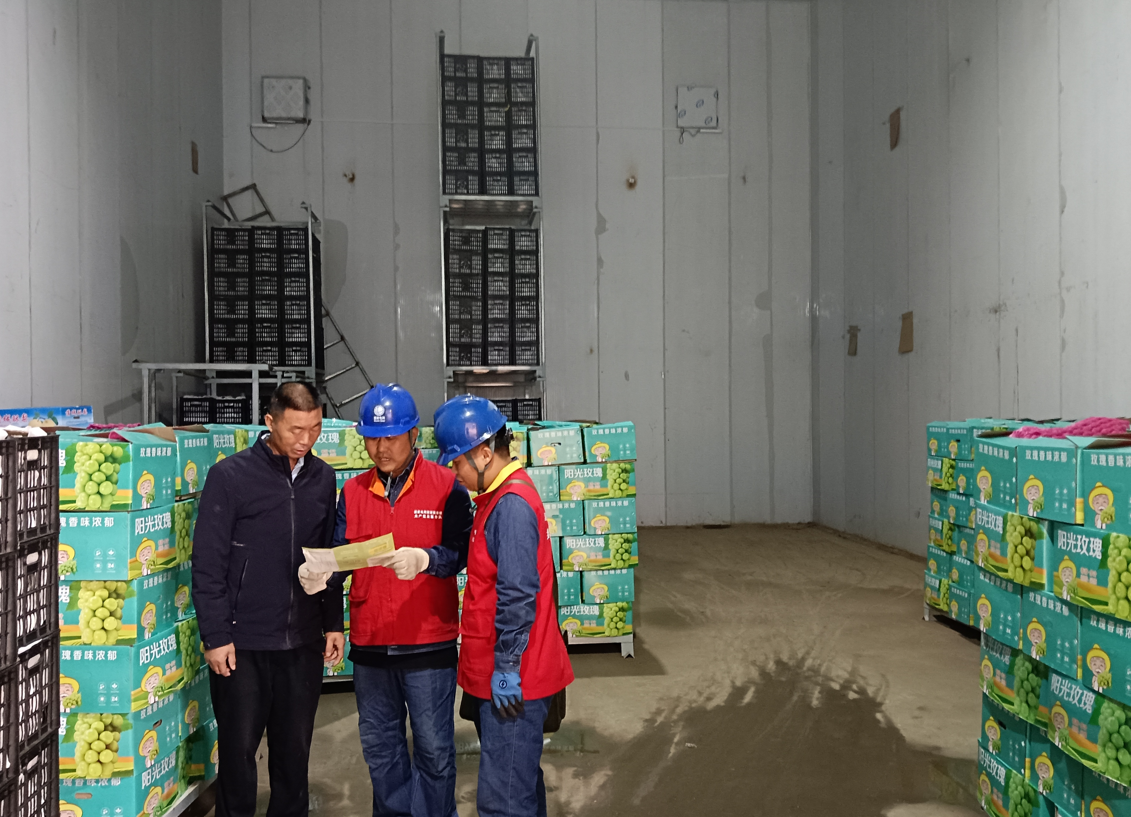 国网渭南供电公司：银线织就甜蜜路 电力护航酥梨香_fororder_图片7