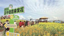 秦巴腹地 “披金装”