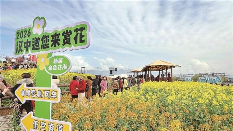 秦巴腹地 “披金装”_fororder_微信图片_20260319085431_1445_356