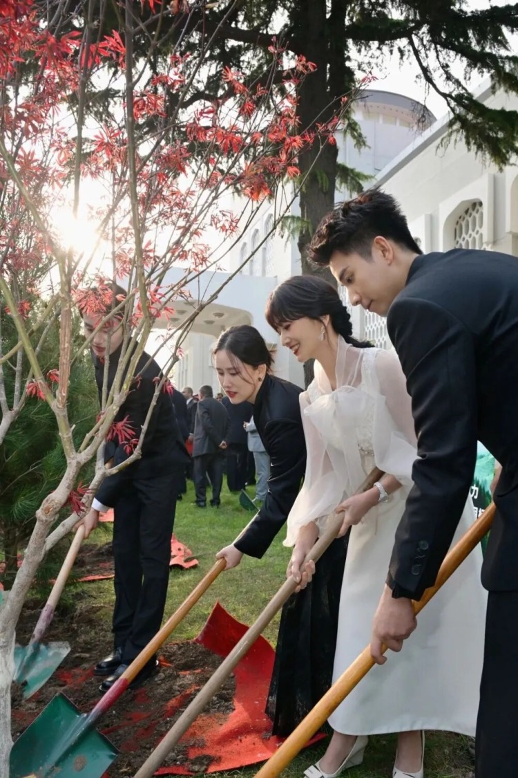 用绿色续写中巴友谊新篇章_fororder_微信图片_20260420150807_1753_356