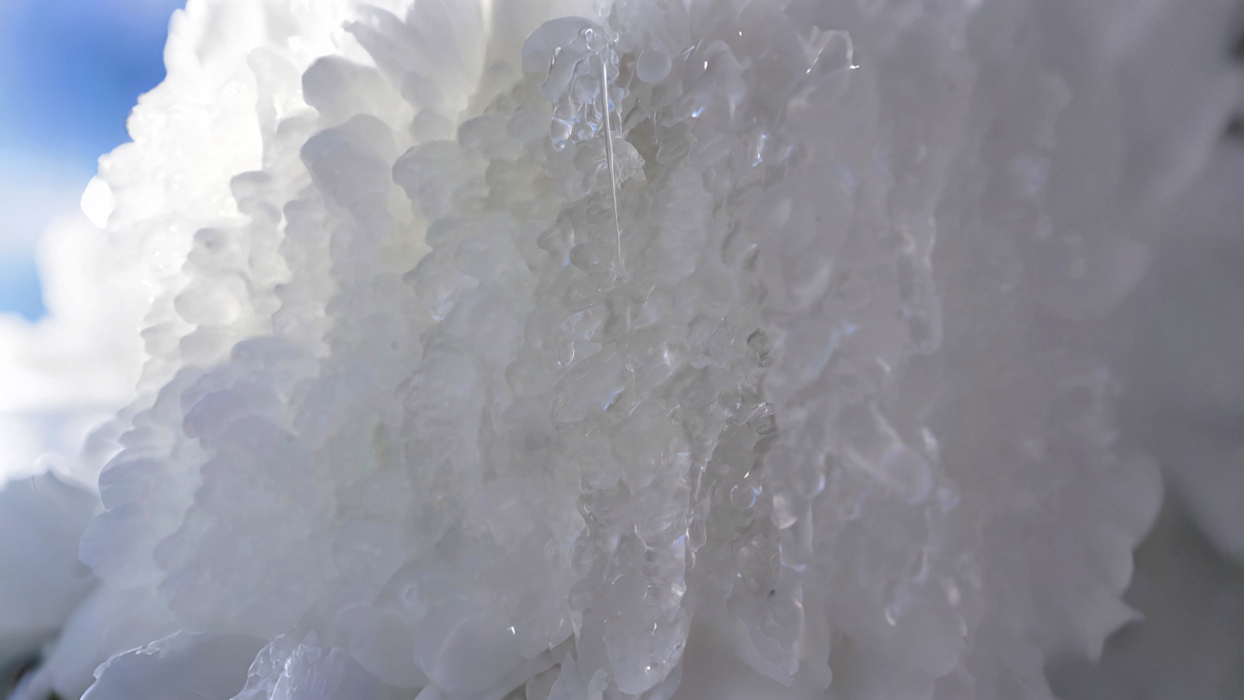 【至“陕”至美】来榆林横山 邂逅冬日美景_fororder_图片6