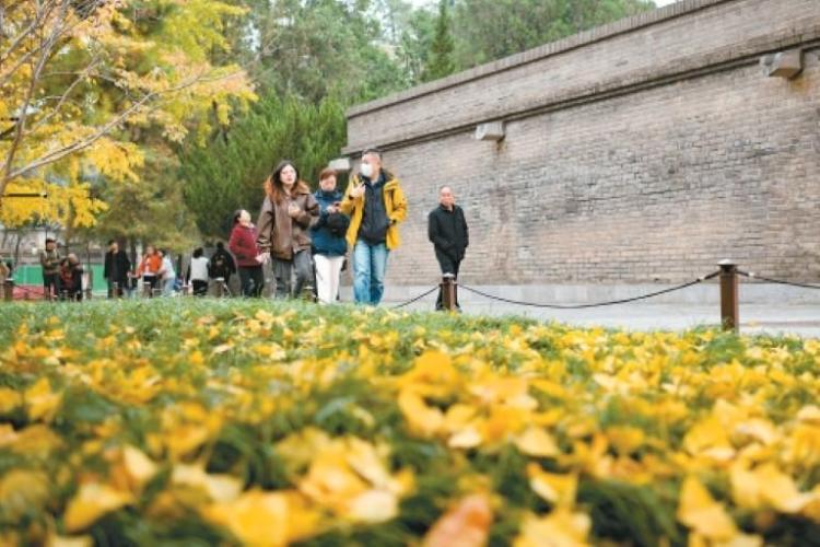 这就是文化传承最美妙的方式_fororder_微信图片_20251113092053_787_356