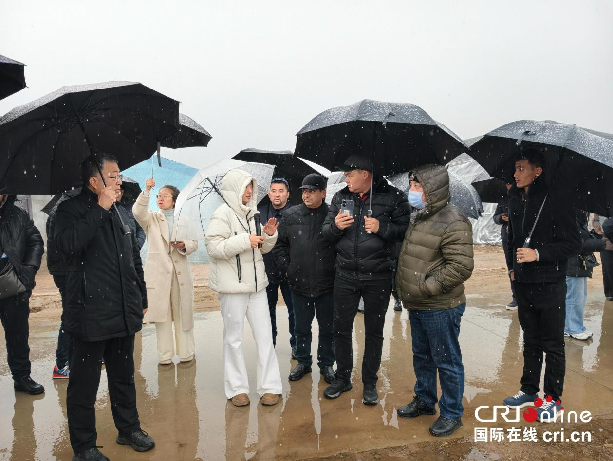 从中亚到陕西：300名职业农民“留学”渭南学种地_fororder_图片6