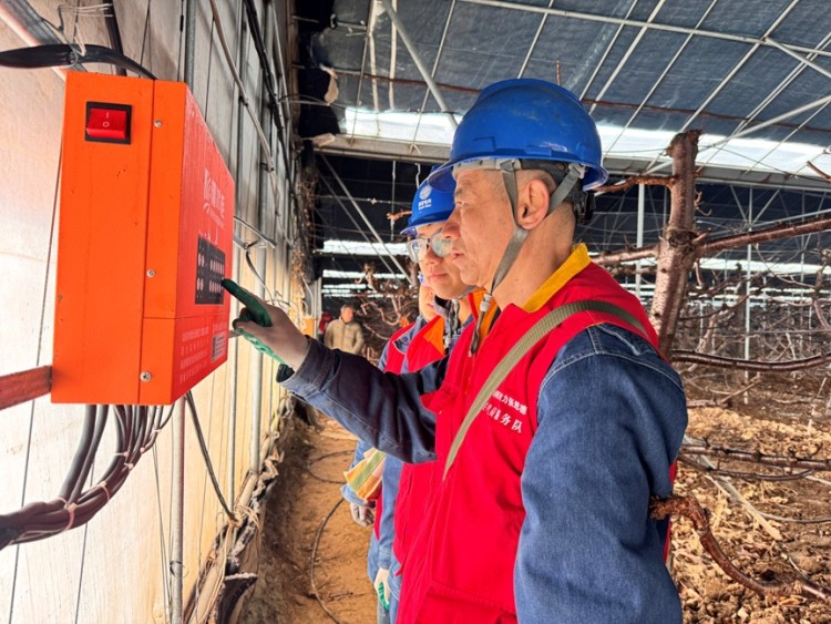 迎战雨雪寒潮 国网渭南供电公司强化巡检护航民生用电_fororder_图片17