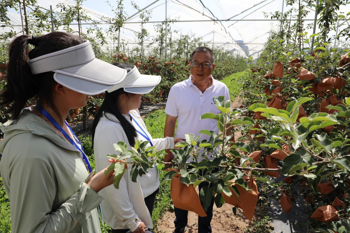 走出杨凌看示范∣静宁苹果“芯”潮涌动_fororder_图片3