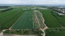 延安黄陵：青春力量扎根乡土 共绘乡村振兴新篇