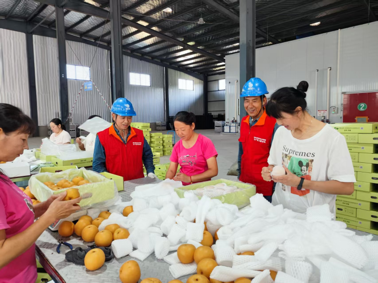 国网汉中市洋县供电公司：电力赋能“黄金梨”产业链 光明绘就乡村振兴新图景_fororder_图片6