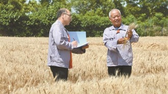 渭南：良种让丰收底气更足