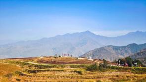 秦岭脚下荞麦香 峪口村畔好风光