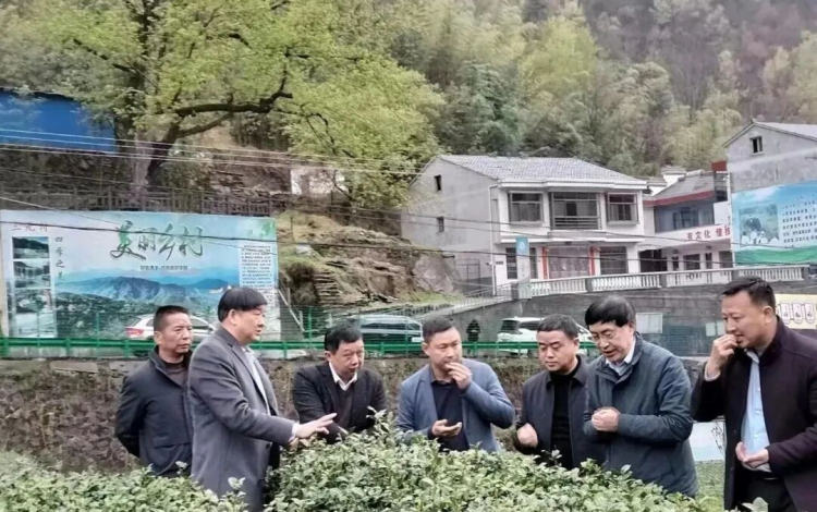 安康市农科院“三链融合” 催生“果蜜红”茶产业新赛道_fororder_图片2