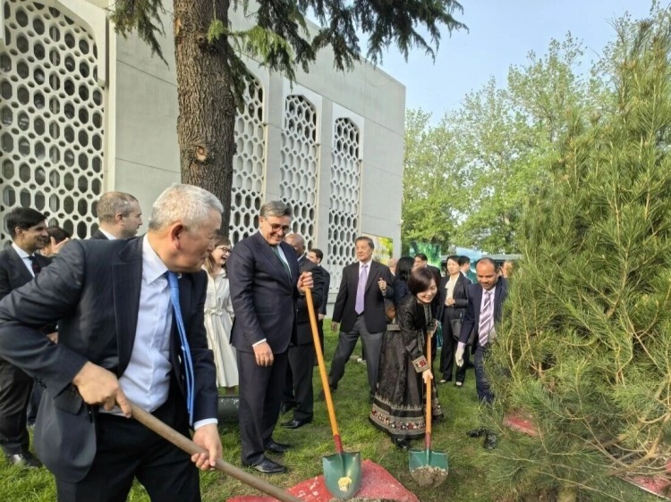 用绿色续写中巴友谊新篇章_fororder_微信图片_20260420145113_1750_356
