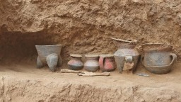 石峁文化人群主体源于陕北仰韶晚期人群