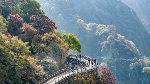 【至“陕”至美】少华秋色“醉”游人