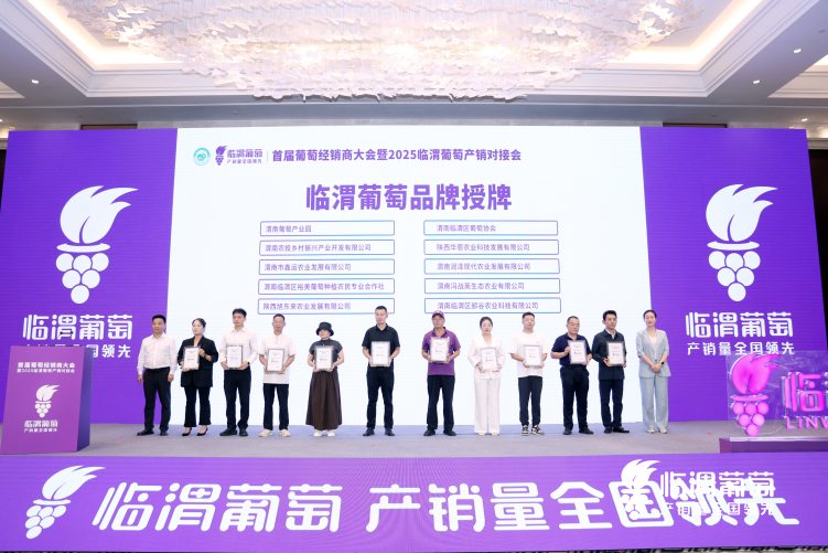 渭南市临渭区：一场葡萄盛会 焕发产业升级新活力_fororder_图片1