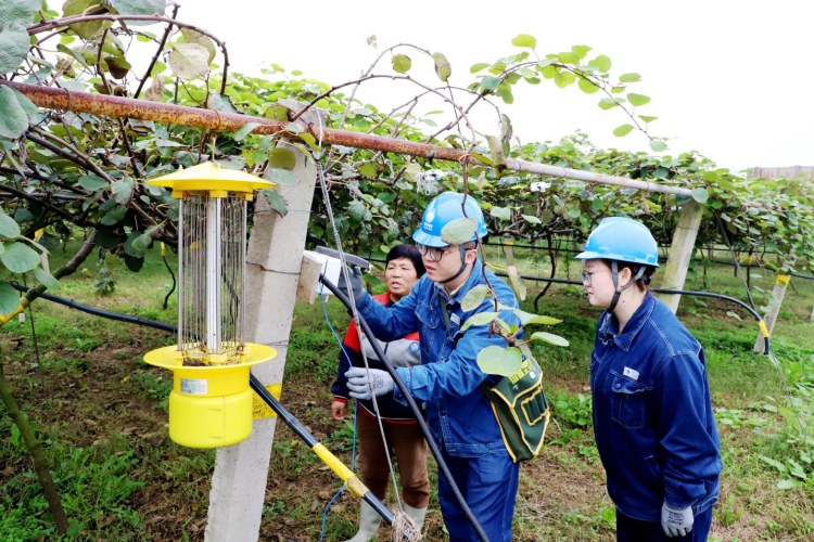 国网渭南供电公司：电力助农“抢收战” 细致入微添保障_fororder_图片3