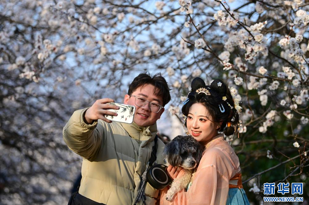 长安春日繁花开_fororder_微信图片_20260310091601_1355_356