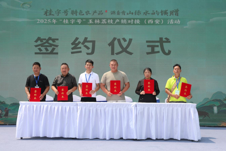 从岭南到长安：玉林荔枝“牵手”西安市场 搭建两地农业合作新桥梁_fororder_4·6