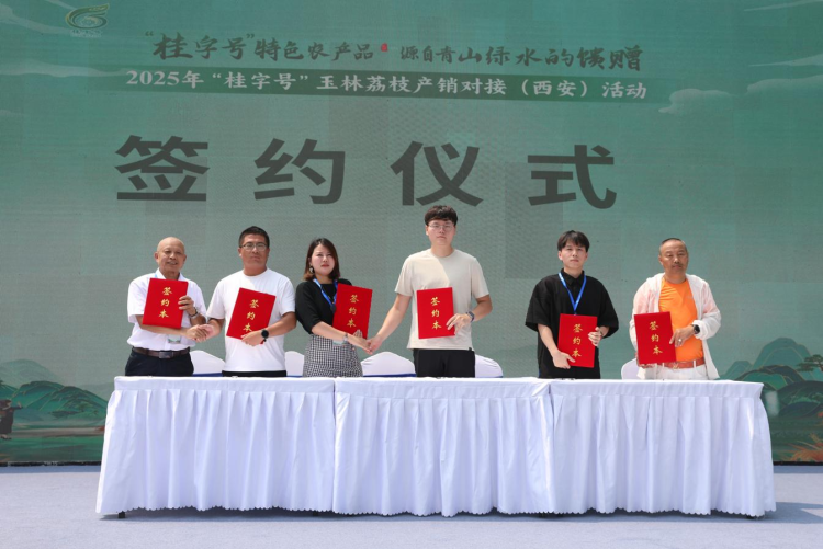 从岭南到长安：玉林荔枝“牵手”西安市场 搭建两地农业合作新桥梁_fororder_4·5