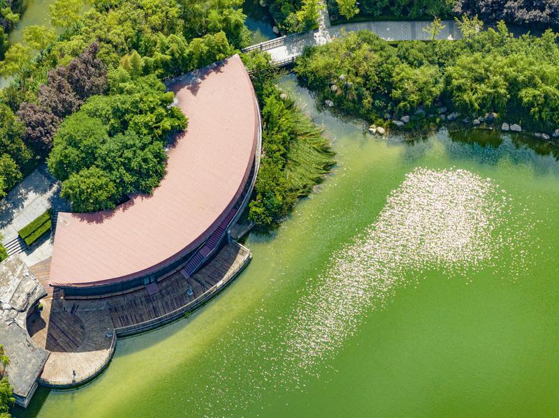 中湖公园 绿意盎然