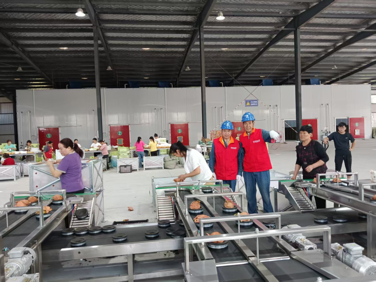 国网汉中市洋县供电公司：电力赋能“黄金梨”产业链 光明绘就乡村振兴新图景_fororder_图片4