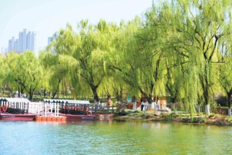 今天，你“Color Walk”了吗？_fororder_微信图片_20260402091218_1601_356