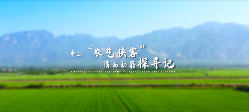 【外眼看陕西•我在中国学农技④】中亚“农艺侠客”渭南秘籍探寻记_fororder_微信图片_20250430143243