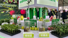 【“智”引未来】新质生产力赋能现代农业 硬核科技闪耀杨凌农高会