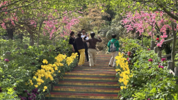 西安鄠邑：繁花织锦 激活文旅新引擎