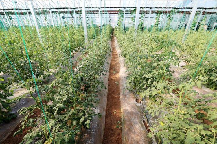 古都西安驭“新”前行_fororder_2