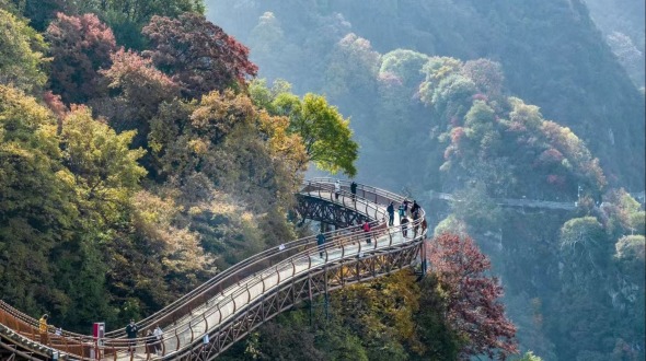 Shaohua's Autumn Splendor Enchants Visitors