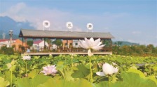 “赏花经济”激发农文旅消费新活力