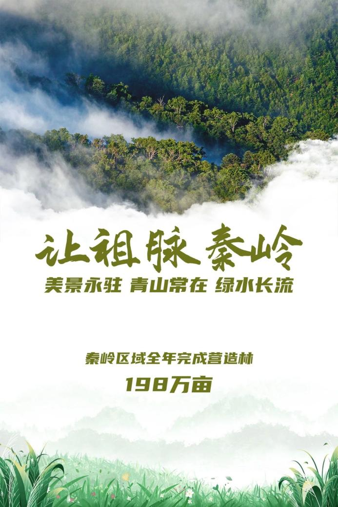 陕西：当好秦岭生态卫士 绘就“绿水青山”新画卷_fororder_图片1