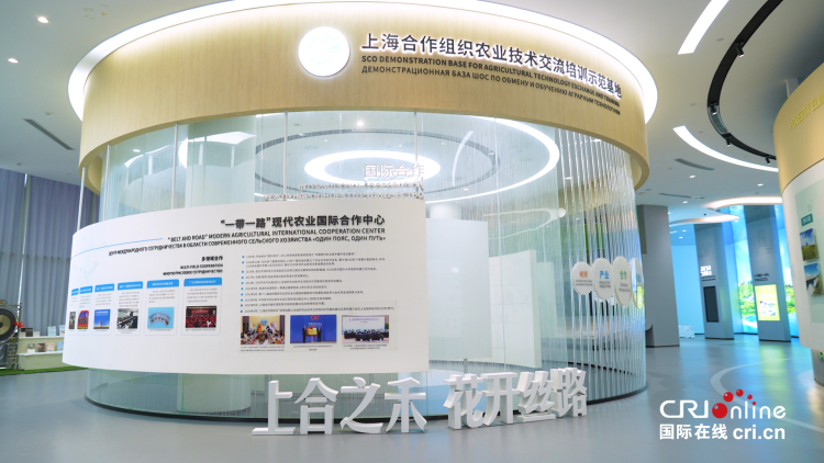 在杨凌开启一场青春对话 10国16位上合组织国家青年将触摸现代农业科技“脉搏”_fororder_图片1_副本