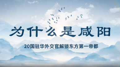 为什么是咸阳？20国驻华外交官解锁东方第一帝都_fororder_微信图片_2025-08-12_201820_682