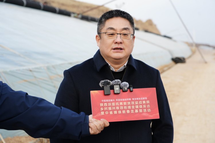 新春走基层 | 佳县朱官寨镇：让产业之花在黄土高原绽放