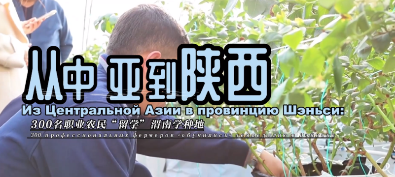 从中亚到陕西：300名职业农民“留学”渭南学种地_fororder_微信图片_20251224104929_897_356