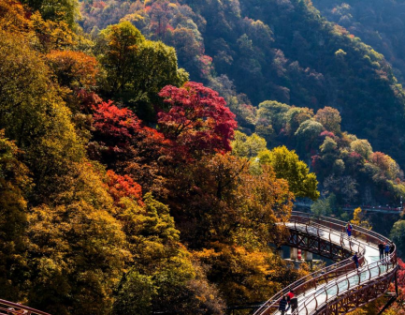 Shaanxi Weinan: Autumn Forests in Rich Colors_fororder_下载