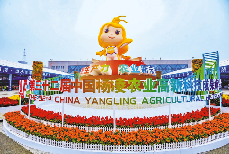 向世界递出渭南农业“金名片” ——渭南市农产品杨凌农高会参展侧记